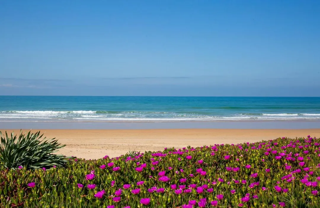 Casita Lulu -Walk To Beach Casita With Garden-1
